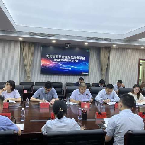 东方市召开海南省智慧金融综合服务平台推广座谈会
